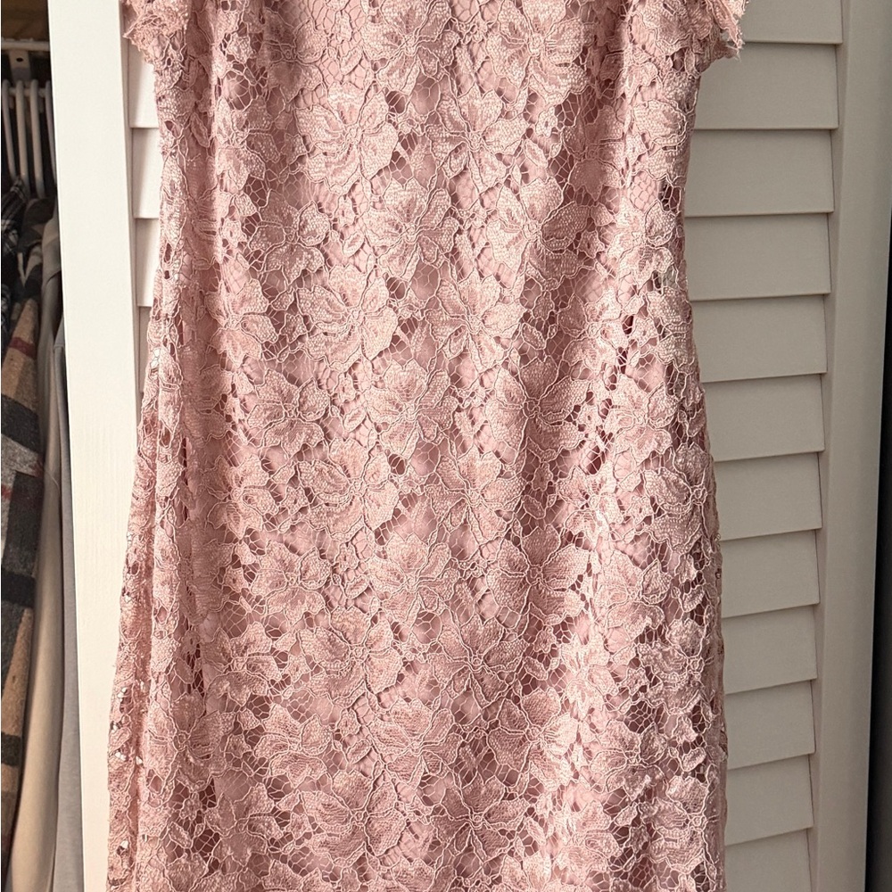 Elegant Pink Lace Women's Dress